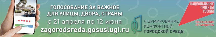 ГОЛОСОВАНИЕ ЗА ВАЖНОЕ ДЛЯ УЛИЦЫ, ДВОРА, СТРАНЫ