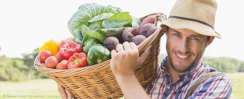 О работе интернет-платформы "Ярмарка" О работе интернет-платформы "Ярмарка"