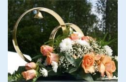 02.11.2022 Отдел записи актов гражданского состояния | Администрация муниципального округа город Партизанск Приморского края Официальный сайт 02.11.2022 Отдел записи актов гражданского состояния | Администрация муниципального округа город Партизанск Приморского края Официальный сайт