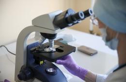 04.05.2022 Роспотребнадзор: Активность клещей в Приморье растет  | Администрация муниципального округа город Партизанск Приморского края Официальный сайт