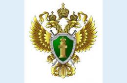 10.02.2021 Находкинской транспортной прокуратурой пресечено свыше 100 нарушений экологических требований при перевалке пылящих грузов в морских портах | Администрация муниципального округа город Партизанск Приморского края Официальный сайт