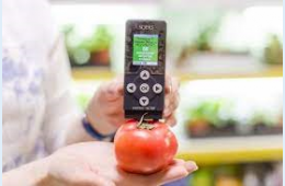 10.08.2021 Нитраты: будьте бдительны!  | Администрация муниципального округа город Партизанск Приморского края Официальный сайт