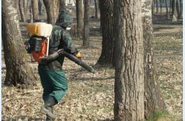 10.04.2025 «Сансервис» проводит акарицидную обработку территорий  | Администрация муниципального округа город Партизанск Приморского края Официальный сайт