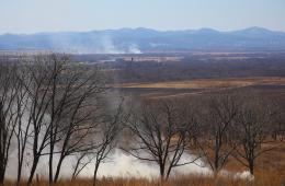 06.05.2022 В Приморье массово привлекают к ответственности нарушителей правил пожарной безопасности в лесах, сообщает www.primorsky.ru | Администрация муниципального округа город Партизанск Приморского края Официальный сайт