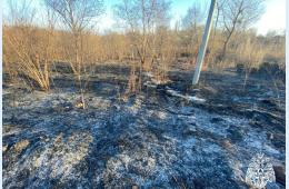 25.02.2025 Особый противопожарный режим введён на территории муниципального округа город Партизанск  | Администрация муниципального округа город Партизанск Приморского края Официальный сайт