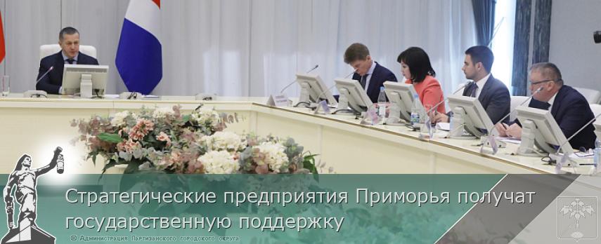 Стратегические предприятия Приморья получат государственную поддержку | Администрация муниципального округа город Партизанск Приморского края Официальный сайт