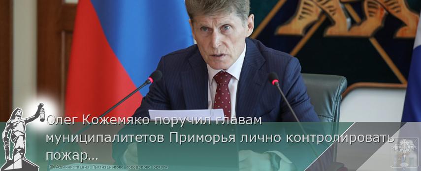 Олег Кожемяко поручил главам муниципалитетов Приморья лично контролировать пожарную обстановку, сообщает www.primorsky.ru | Администрация муниципального округа город Партизанск Приморского края Официальный сайт
