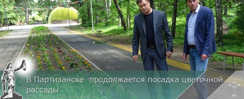 В Партизанске  продолжается посадка цветочной рассады | Администрация муниципального округа город Партизанск Приморского края Официальный сайт