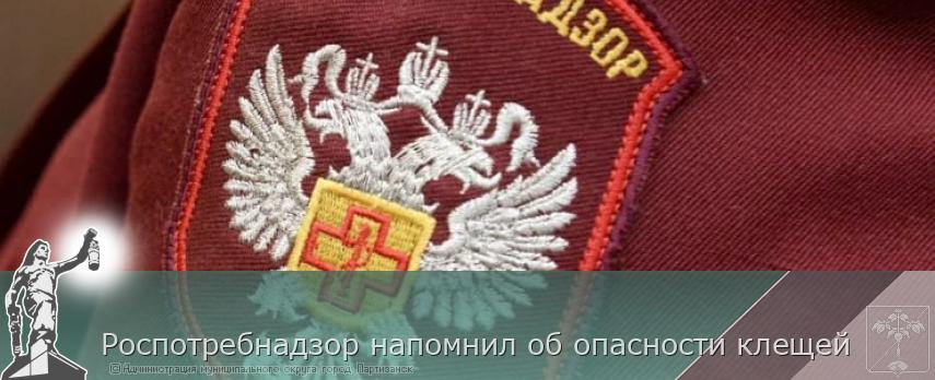 Роспотребнадзор напомнил об опасности клещей     | Администрация муниципального округа город Партизанск Приморского края Официальный сайт