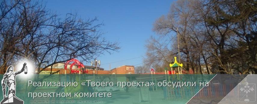 Реализацию «Твоего проекта» обсудили на проектном комитете  | Администрация муниципального округа город Партизанск Приморского края Официальный сайт