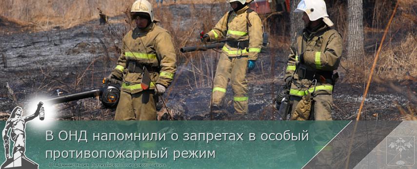 В ОНД напомнили о запретах в особый противопожарный режим | Администрация муниципального округа город Партизанск Приморского края Официальный сайт