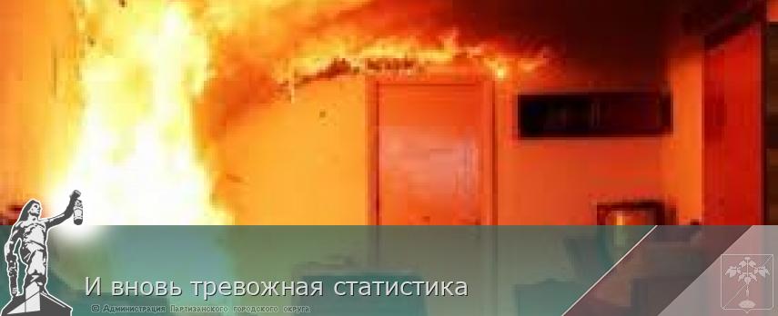И вновь тревожная статистика | Администрация муниципального округа город Партизанск Приморского края Официальный сайт
