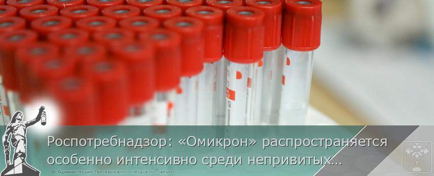 Роспотребнадзор: «Омикрон» распространяется особенно интенсивно среди непривитых  | Администрация муниципального округа город Партизанск Приморского края Официальный сайт