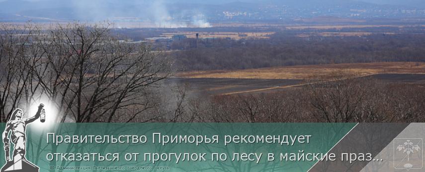 Правительство Приморья рекомендует отказаться от прогулок по лесу в майские праздники, сообщает  www.primorsky.ru  | Администрация муниципального округа город Партизанск Приморского края Официальный сайт