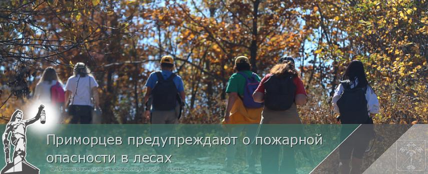 Приморцев предупреждают о пожарной опасности в лесах | Администрация муниципального округа город Партизанск Приморского края Официальный сайт